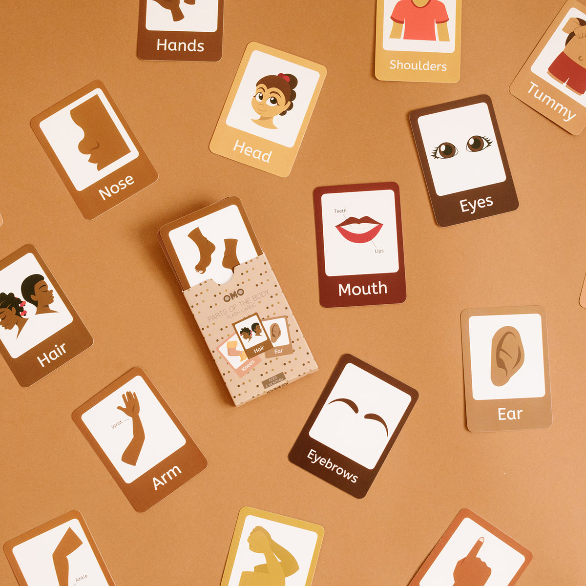 Parts of the body flashcards